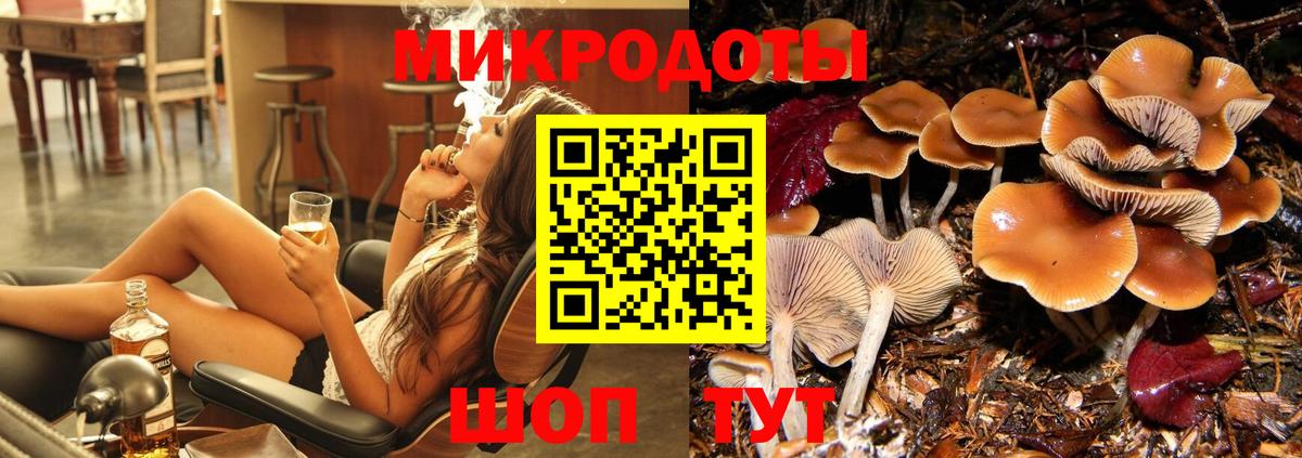 Псилоцибиновые грибы GOLDEN TEACHER Киселёвск