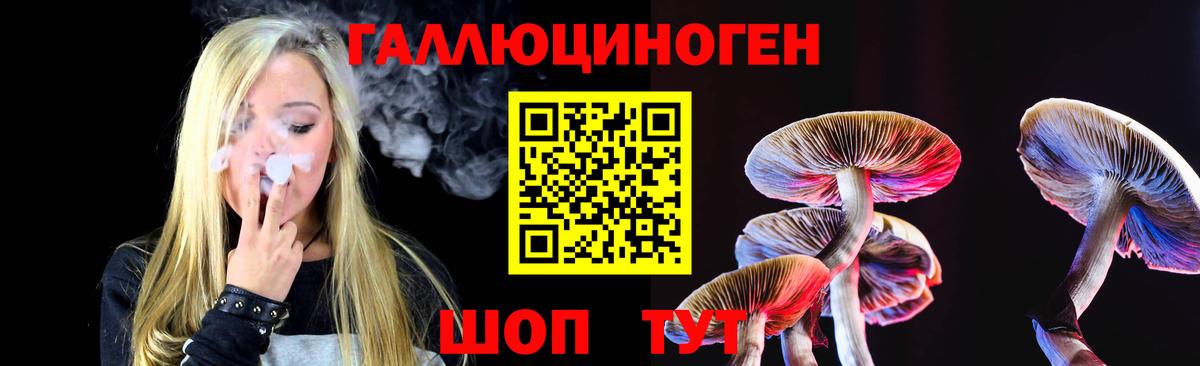 Галлюциногенные грибы MAGIC MUSHROOMS  Вход с VPN  Галлюциногенные грибы Psilocybe  Киселёвск 